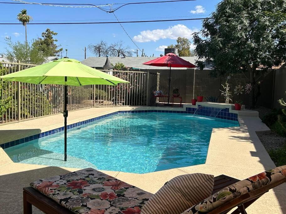 Encanto Cactus Flower Casita Phoenix Extérieur photo