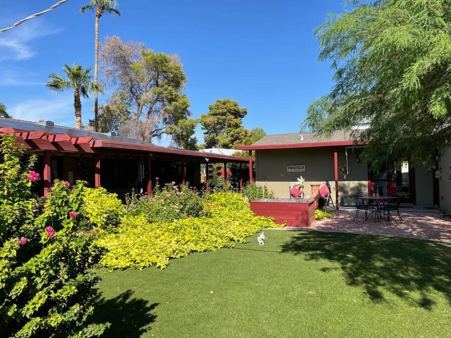 Encanto Cactus Flower Casita Phoenix Extérieur photo