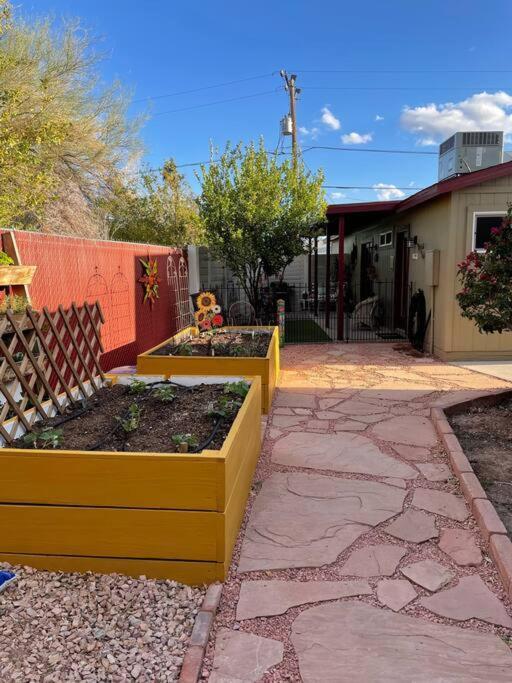 Encanto Cactus Flower Casita Phoenix Extérieur photo